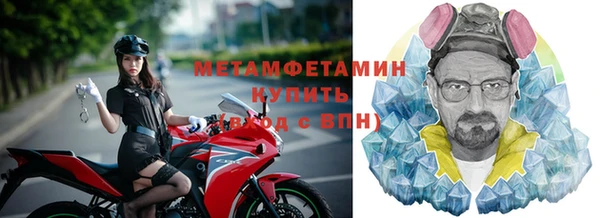 прущие грибы Кодинск