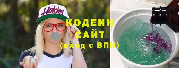 прущие грибы Кодинск