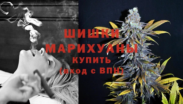 прущие грибы Кодинск