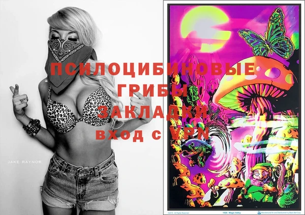 прущие грибы Кодинск