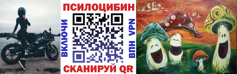 Купить закладки  Пролетарск  Псилоцибиновые грибы Psilocybe 